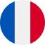 icon bandeira fr