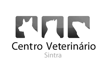 centro veterinário sintra - hospital veterinário