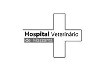 hospital veterinarios de massama