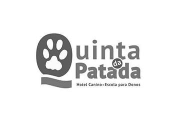 Quinta Patada